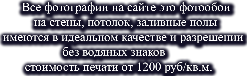 Все фотографии на сайте это фотообоя на стены, потолок, заливные полы имеются в идеальном качестве без водяных знаков.